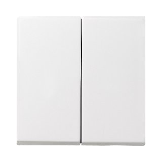 GIRA afdekplaat, dubbele wip, wit, type 55